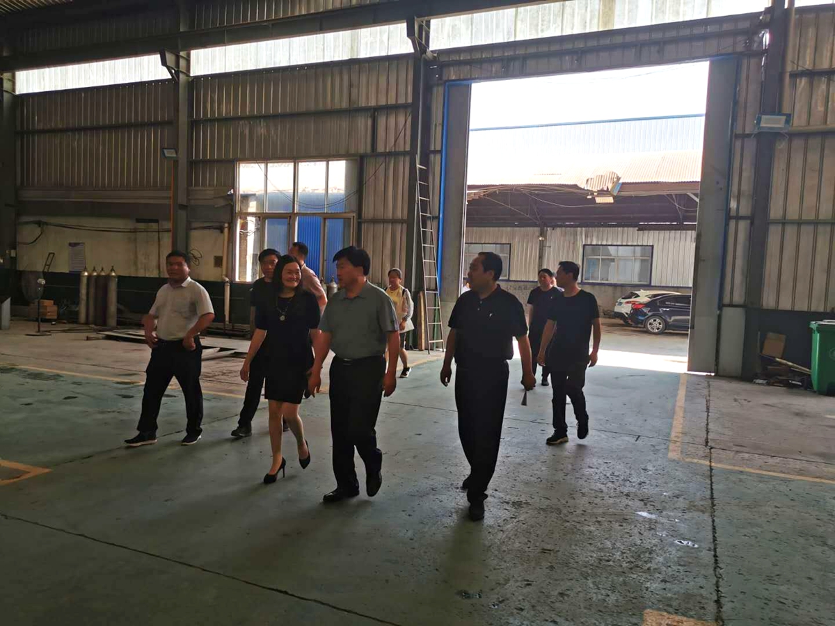6月市长来厂参观考察(图2)